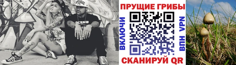 Псилоцибиновые грибы Psilocybe  Купить закладки  Саянск 